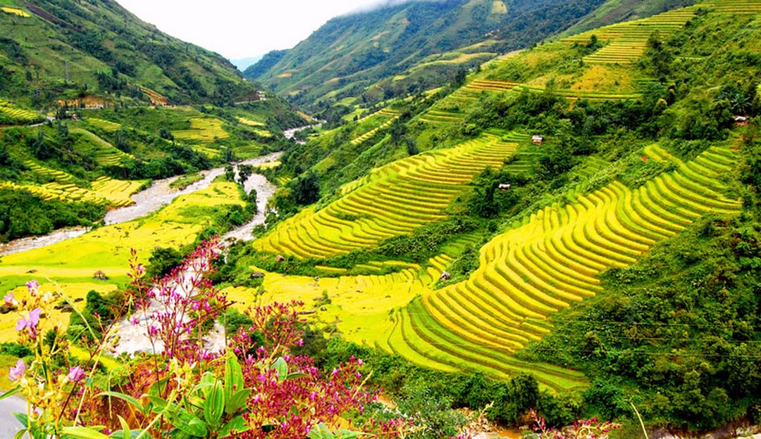 Half-Day Sapa Cultural Tour